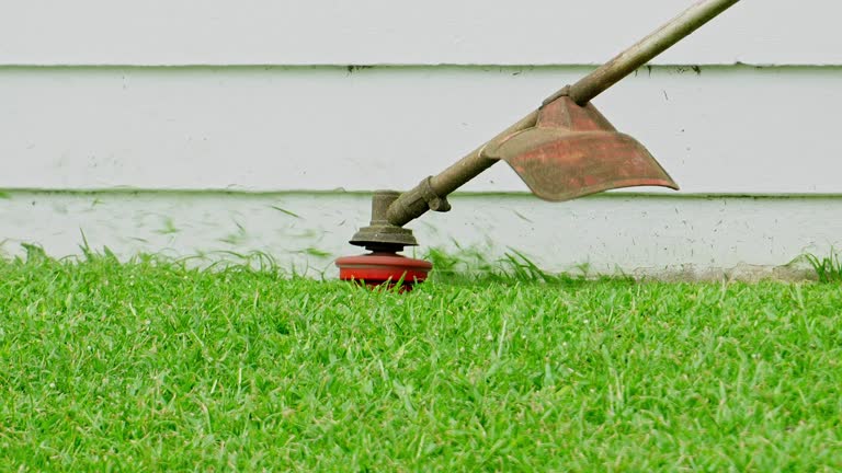 Best Tree Maintenance Programs  in Rocky Mount, VA